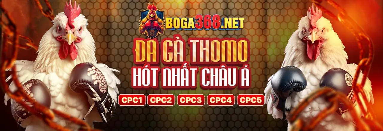 Sân đấu đá gà kịch tính trên 36win App Android